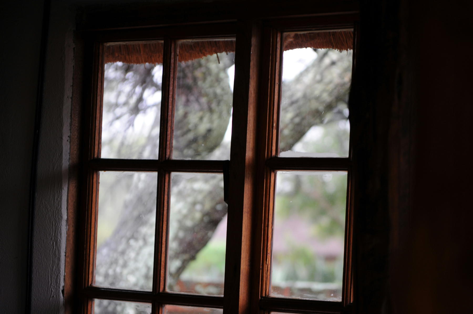 Fensterrahmen außen beim Reinigen